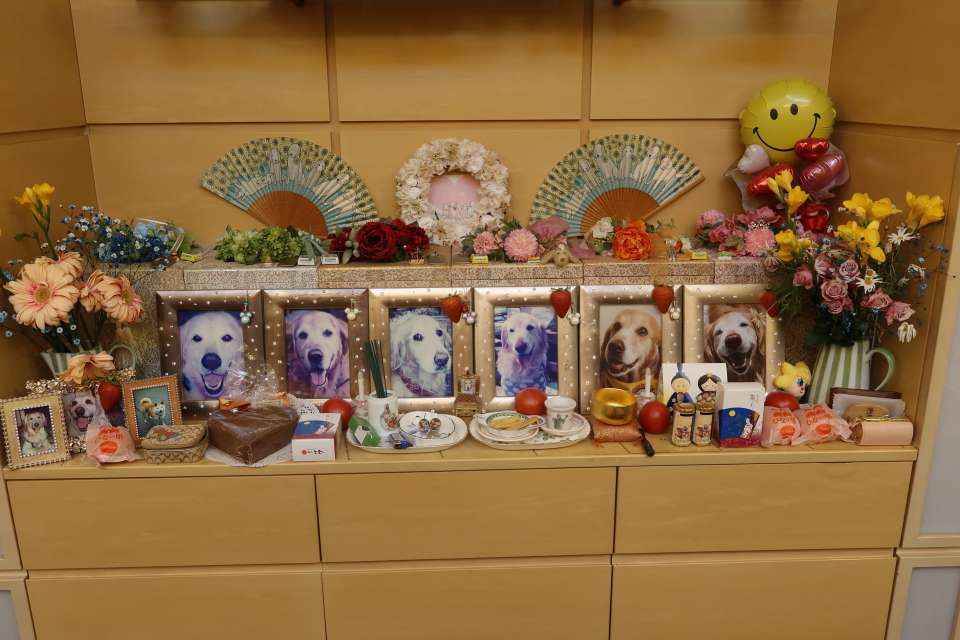 ファイル 7920-5.jpg