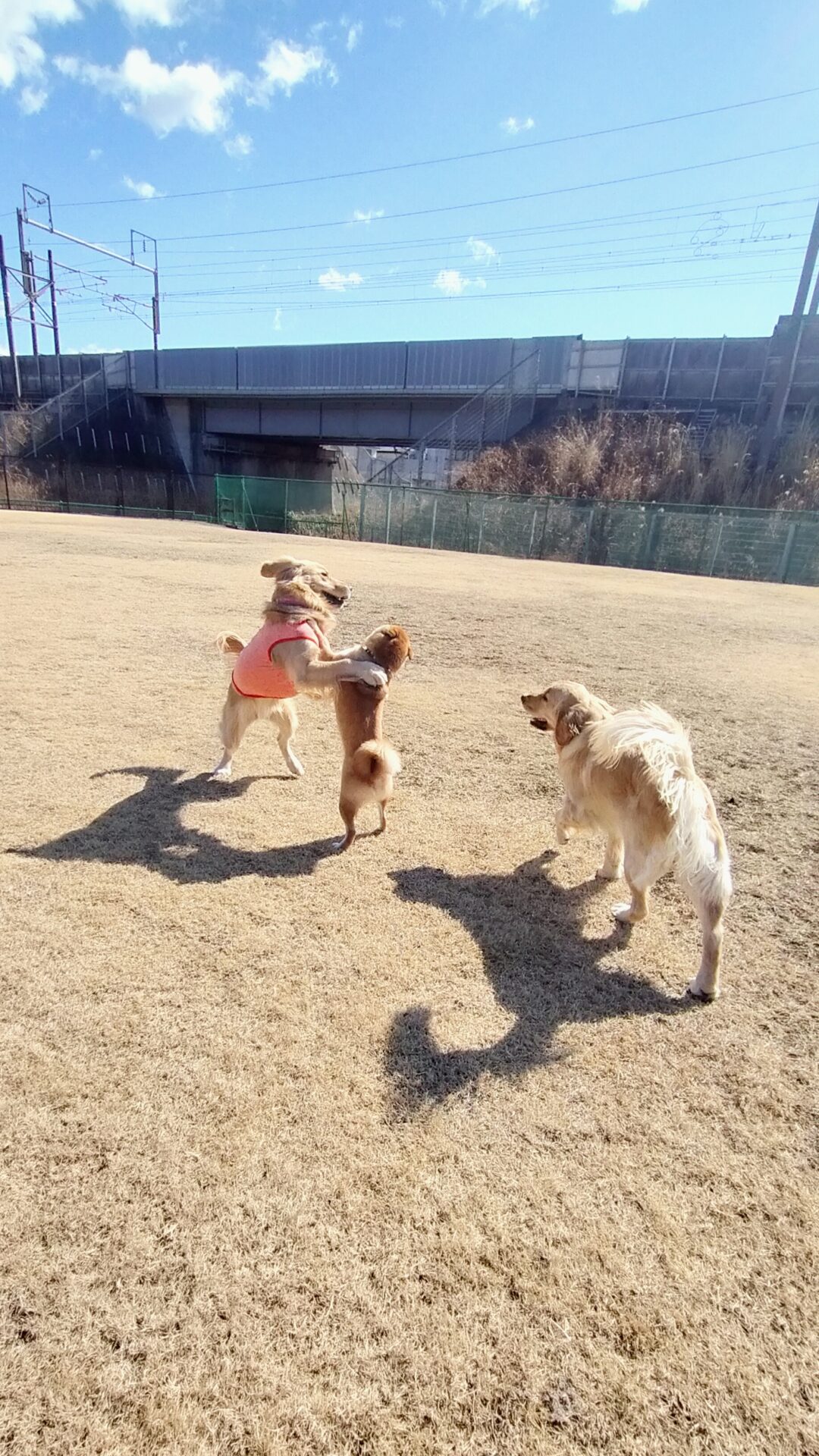 ファイル 7924-2.jpg