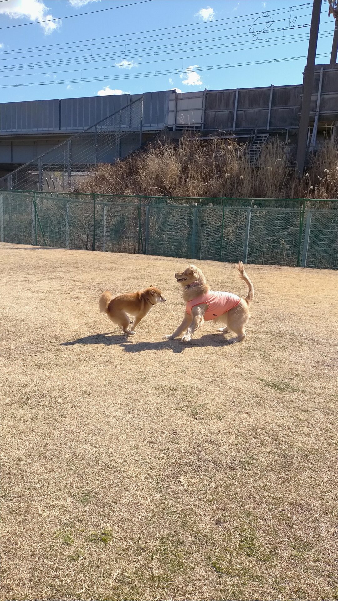 ファイル 7924-4.jpg