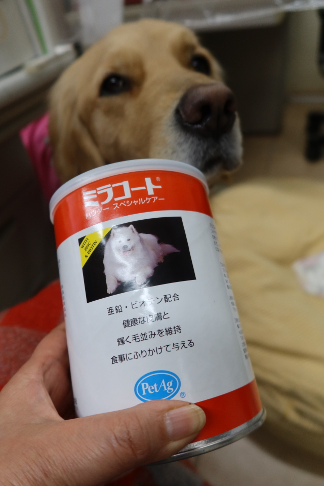 ファイル 7925-3.jpg