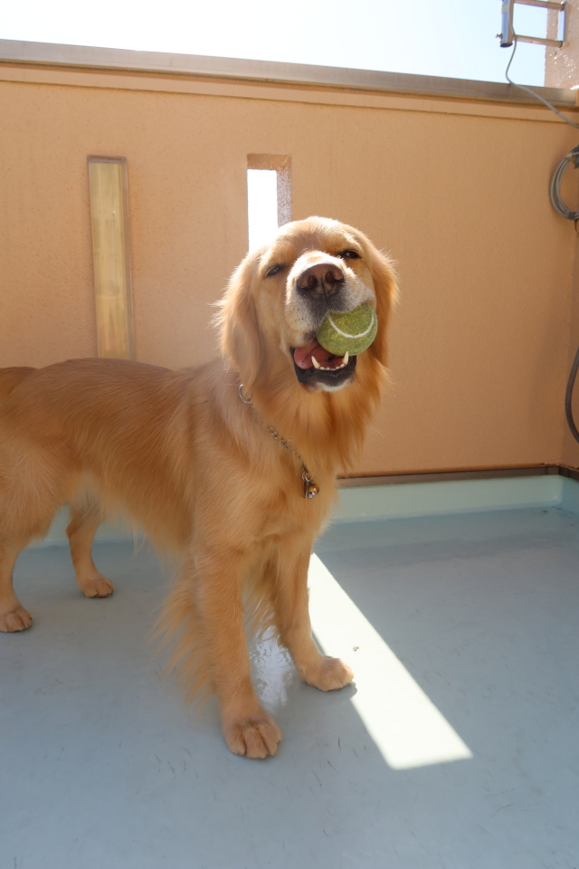 ファイル 7928-2.jpg