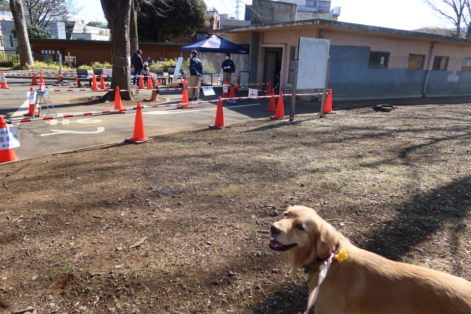 ファイル 7928-4.jpg