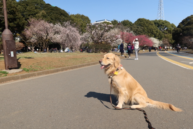 ファイル 7929-1.jpg