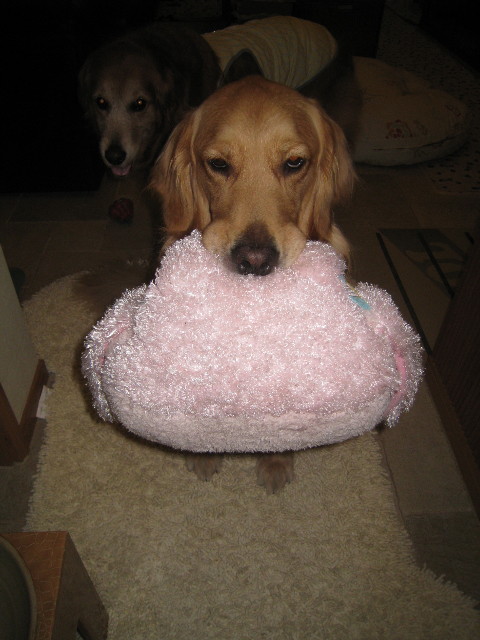 ファイル 793-4.jpg