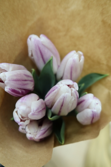 ファイル 7932-1.jpg