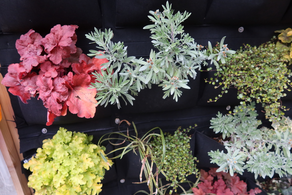 ファイル 7934-2.jpg