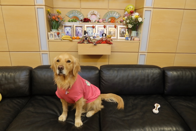 ファイル 7937-1.jpg