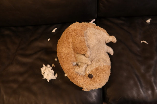 ファイル 7938-2.jpg