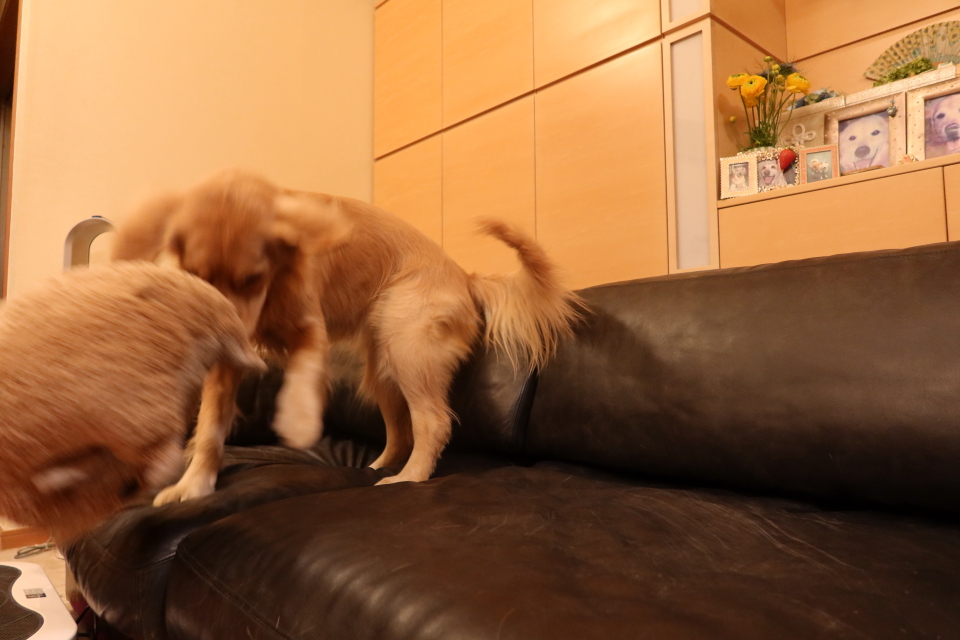 ファイル 7938-4.jpg