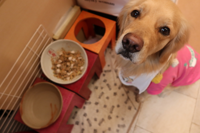 ファイル 7938-5.jpg