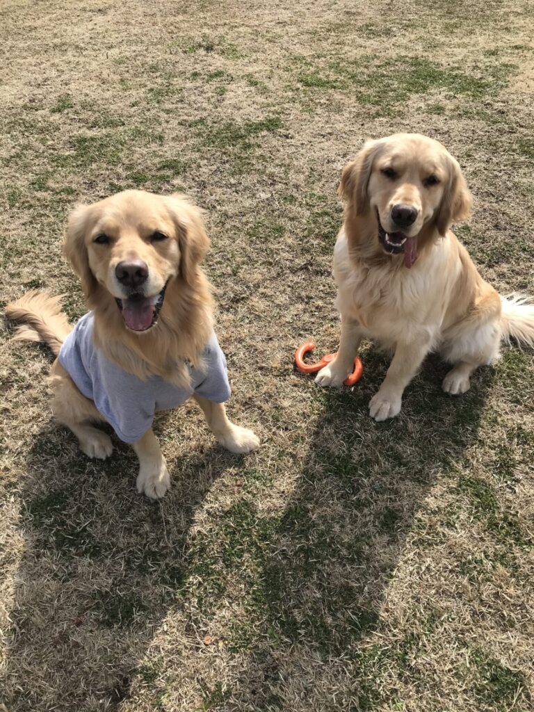 ファイル 7939-1.jpeg