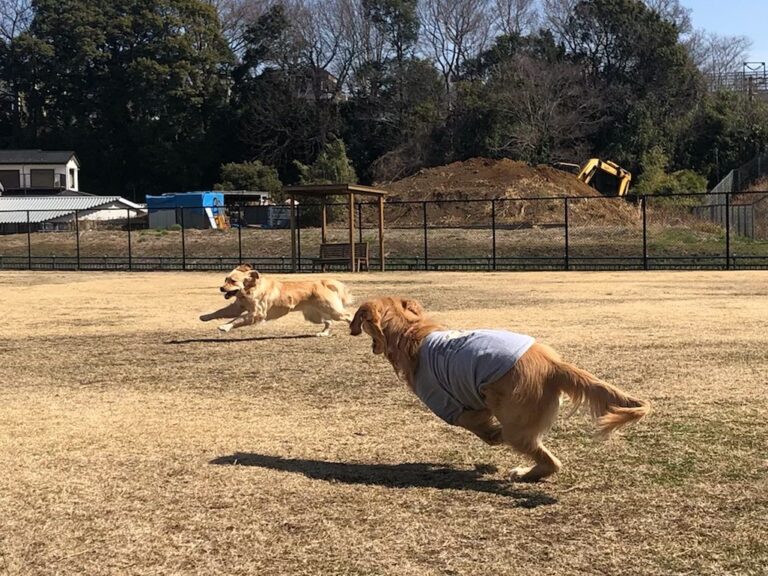 ファイル 7939-3.jpeg