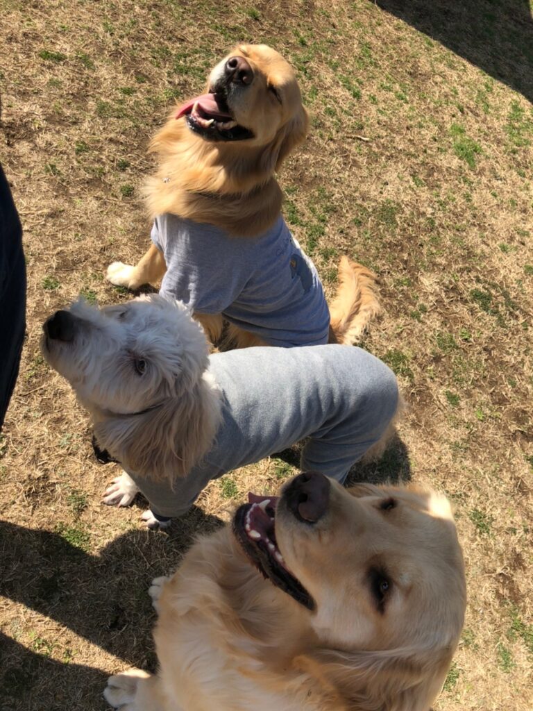 ファイル 7939-4.jpeg