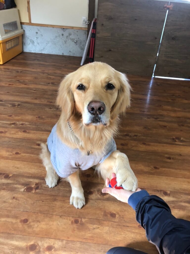 ファイル 7939-5.jpeg