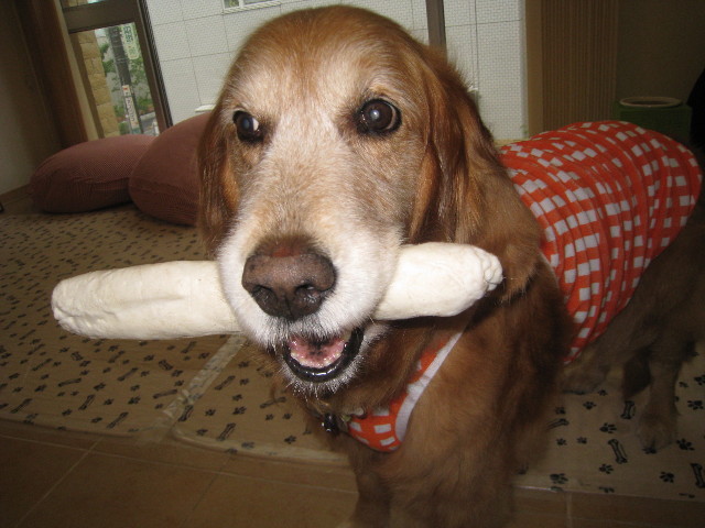 ファイル 794-1.jpg