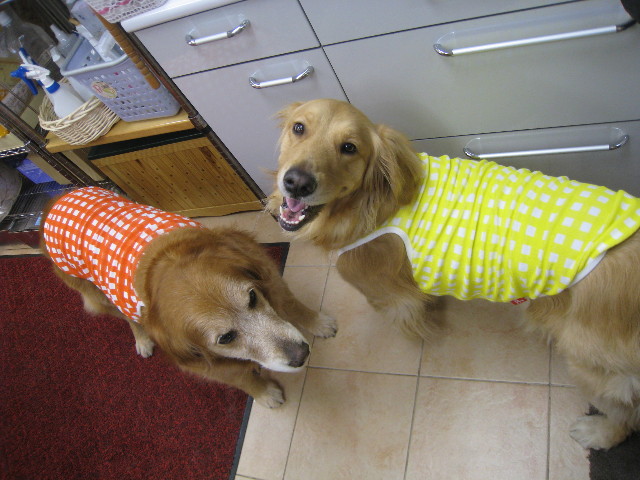 ファイル 794-2.jpg