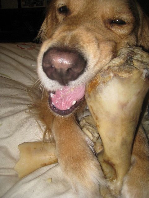 ファイル 794-4.jpg