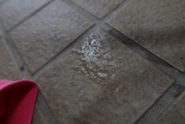 ファイル 7941-1.jpg