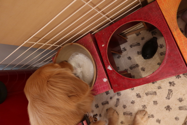 ファイル 7941-2.jpg