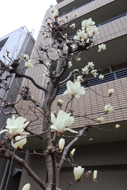 ファイル 7941-3.jpg