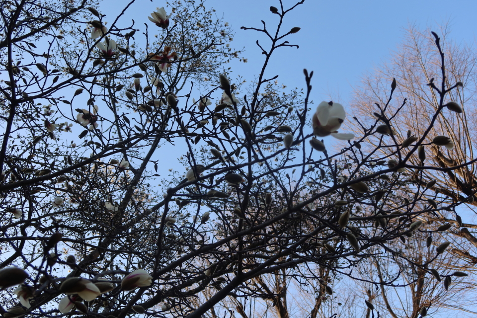 ファイル 7941-4.jpg