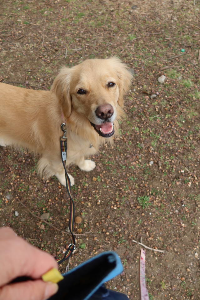 ファイル 7942-3.jpg