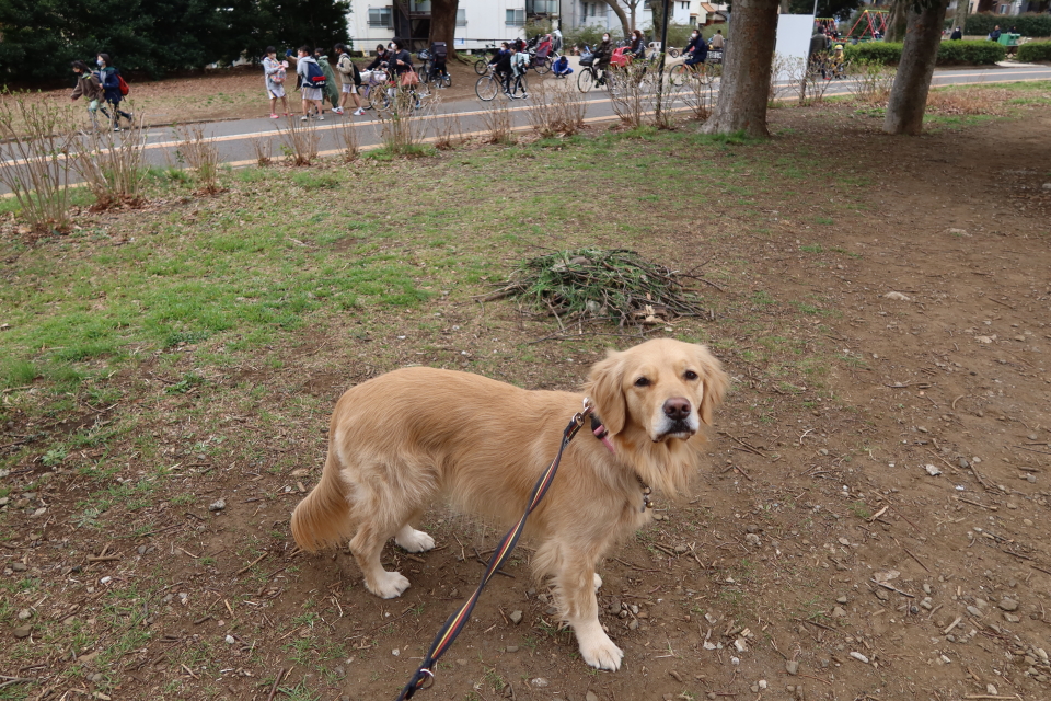 ファイル 7942-4.jpg