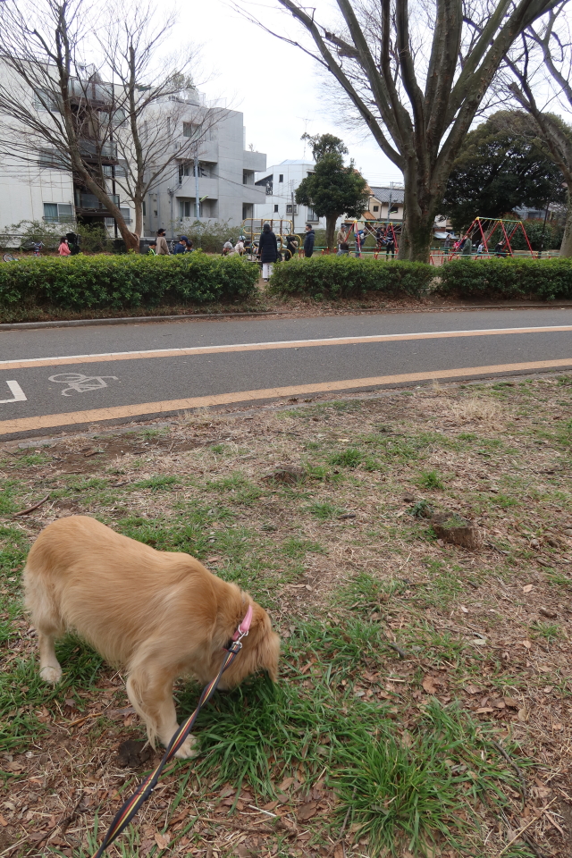 ファイル 7942-5.jpg