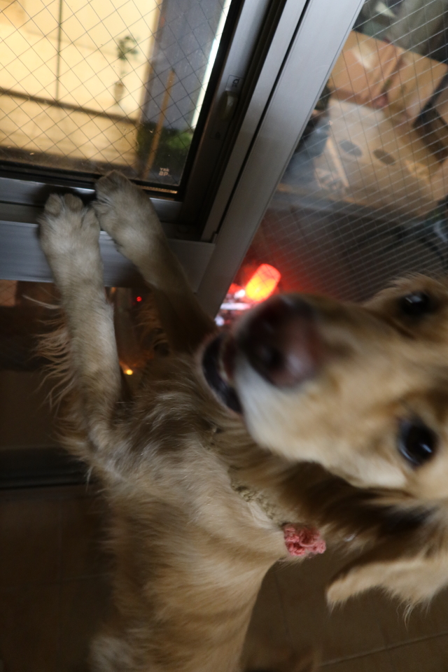 ファイル 7943-2.jpg