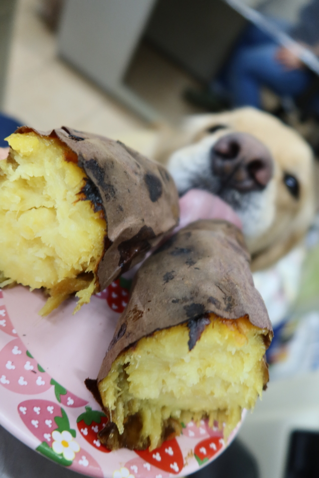 ファイル 7943-4.jpg