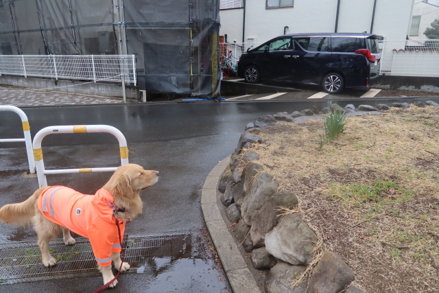 ファイル 7943-5.jpg