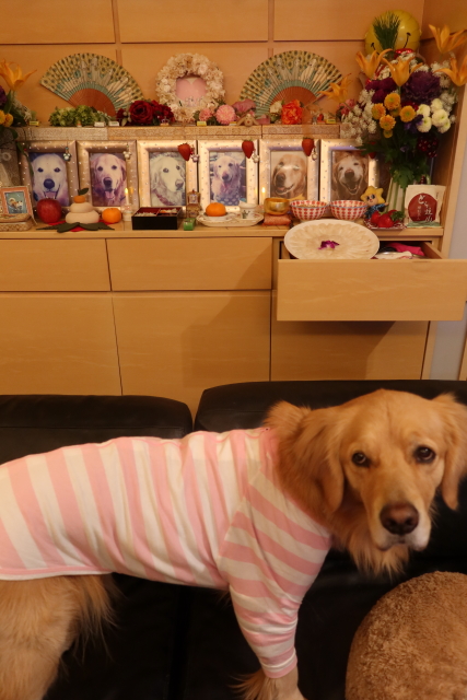 ファイル 7946-1.jpg