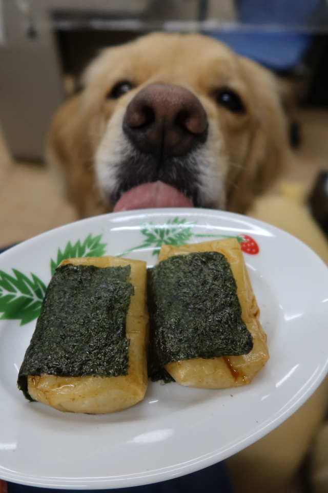 ファイル 7947-2.jpg