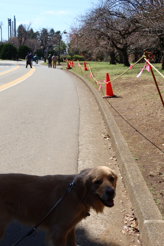 ファイル 7950-4.jpg