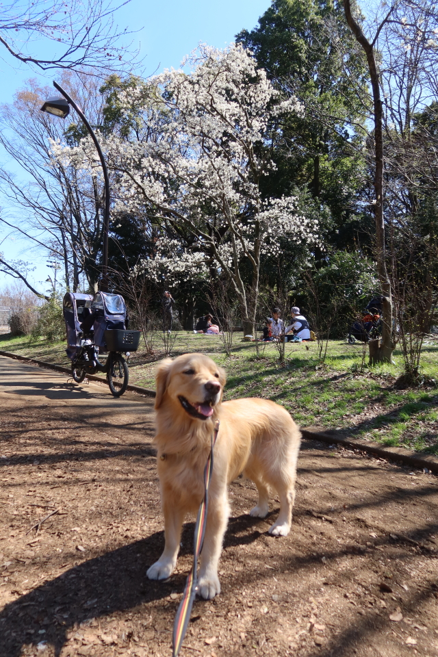 ファイル 7950-5.jpg