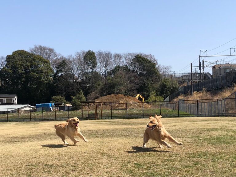 ファイル 7953-3.jpeg