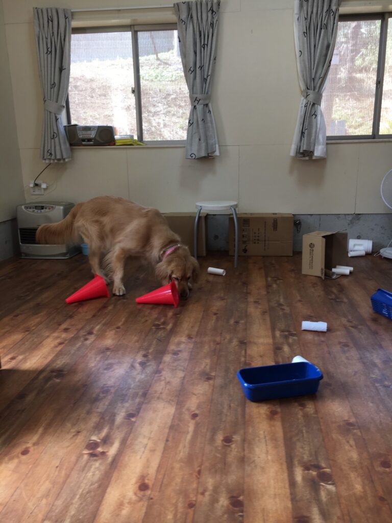 ファイル 7953-5.jpeg