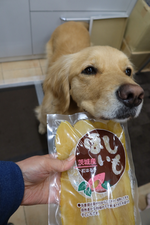 ファイル 7954-1.jpg