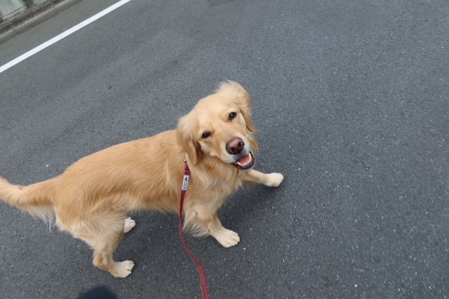 ファイル 7954-2.jpg