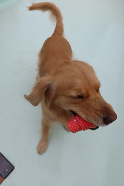 ファイル 7955-2.jpg