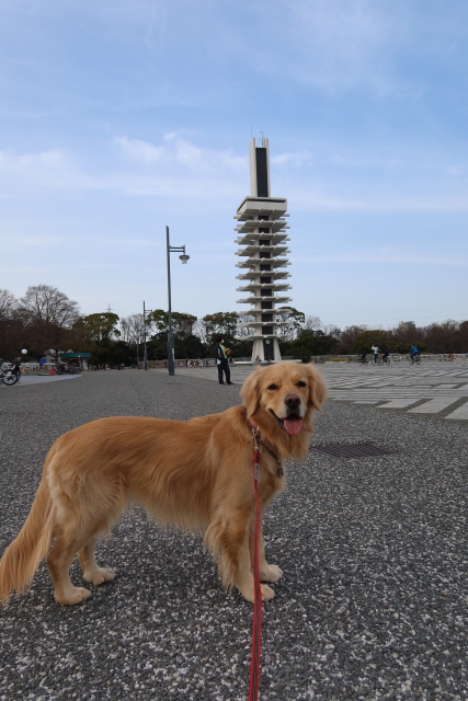 ファイル 7955-3.jpg