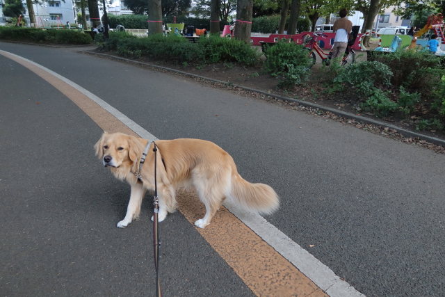 ファイル 7955-4.jpg