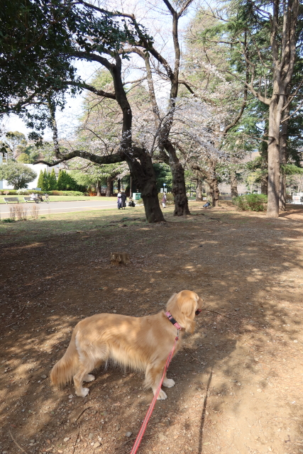 ファイル 7955-5.jpg