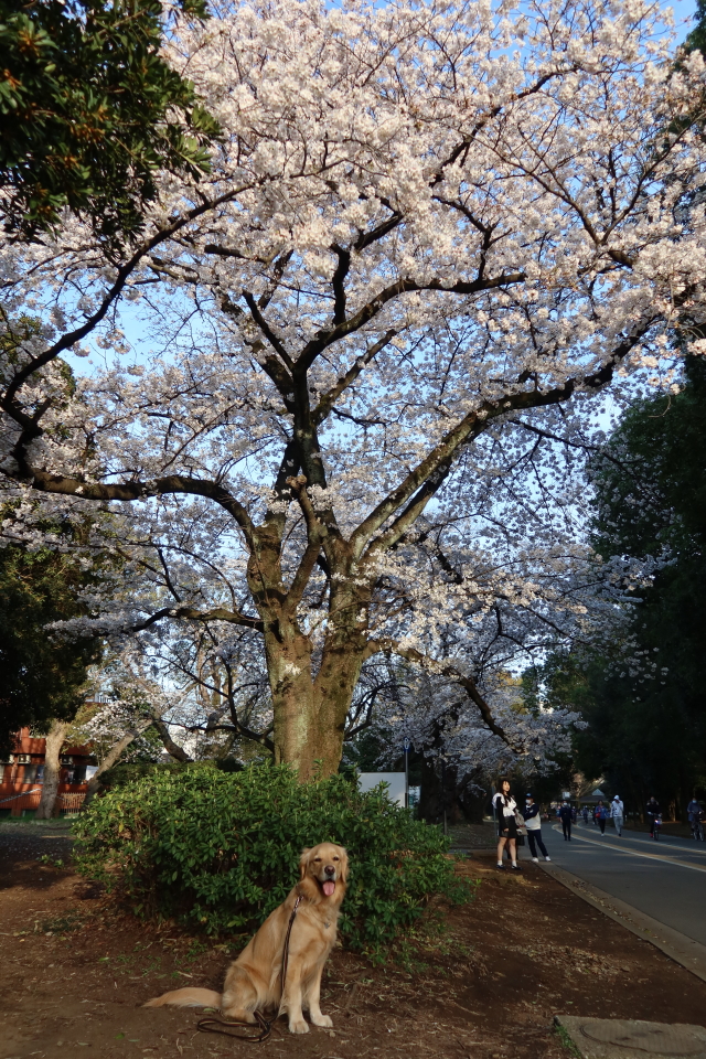 ファイル 7959-5.jpg