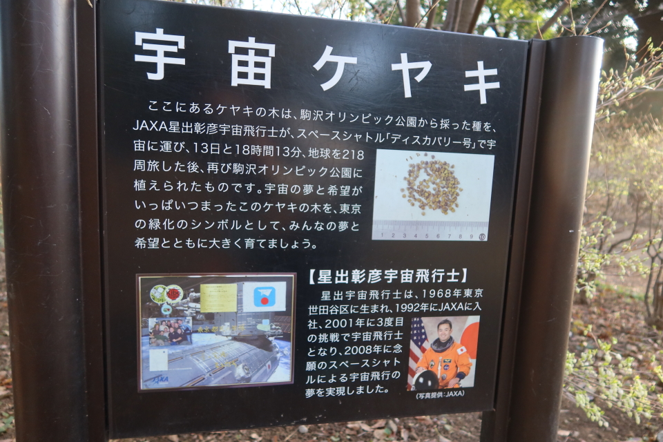 ファイル 7962-1.jpg