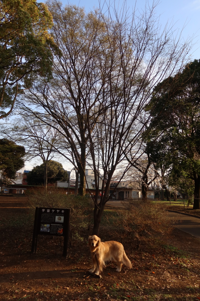 ファイル 7962-2.jpg