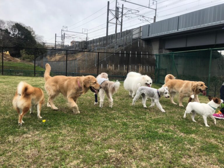 ファイル 7963-1.jpeg