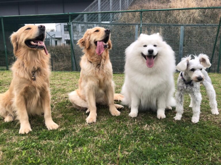 ファイル 7963-2.jpeg