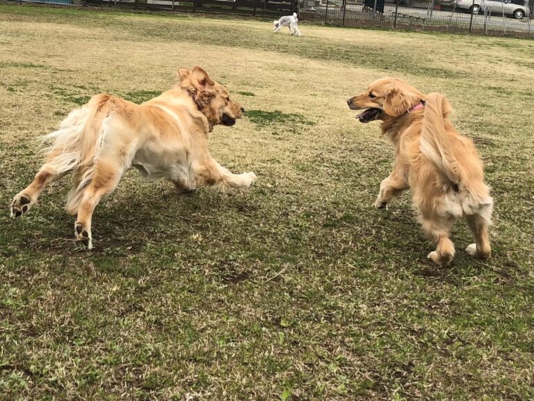 ファイル 7963-3.jpeg