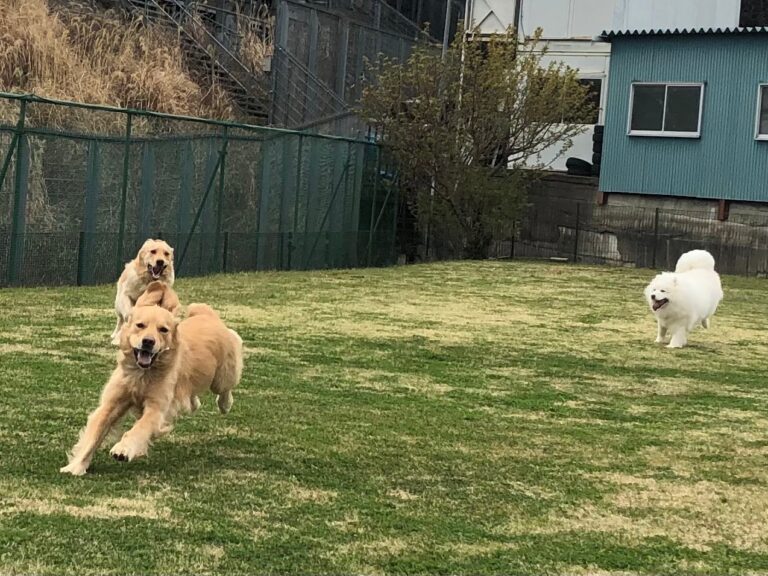 ファイル 7963-5.jpeg